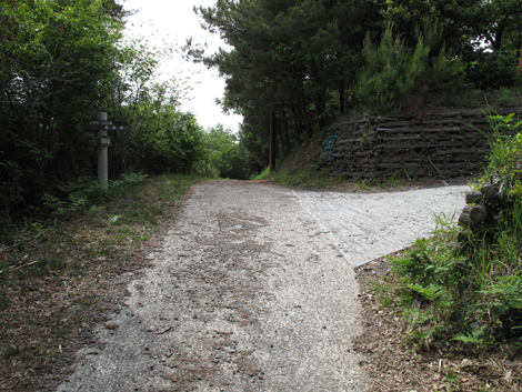 20140524hike (287)